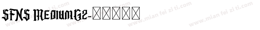 SFNS MediumG2字体转换